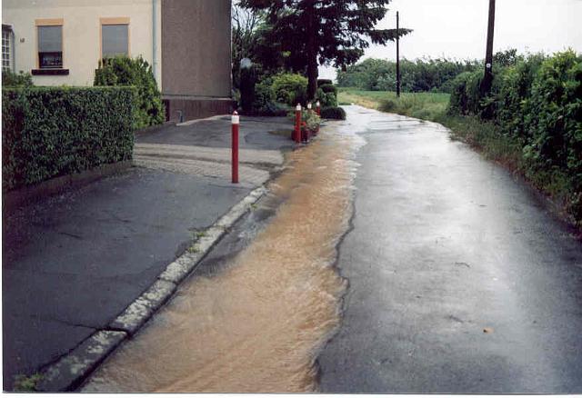 08.06.03 -2.jpg - Rhönweg (ehemaliger Salinger Weg) im alten Verlauf - Blickrichtung: Süden